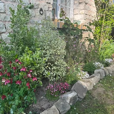 Bed & Breakfast L'oree De Marlotte Bourron-Marlotte